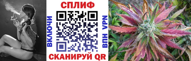 Где продают наркотики Боровичи APVP  МЕФ  Амфетамин  ГАШ 