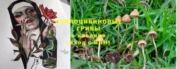 а пвп мука Нягань