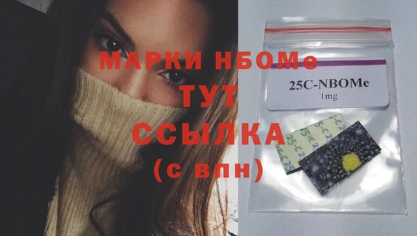 тгк Няндома