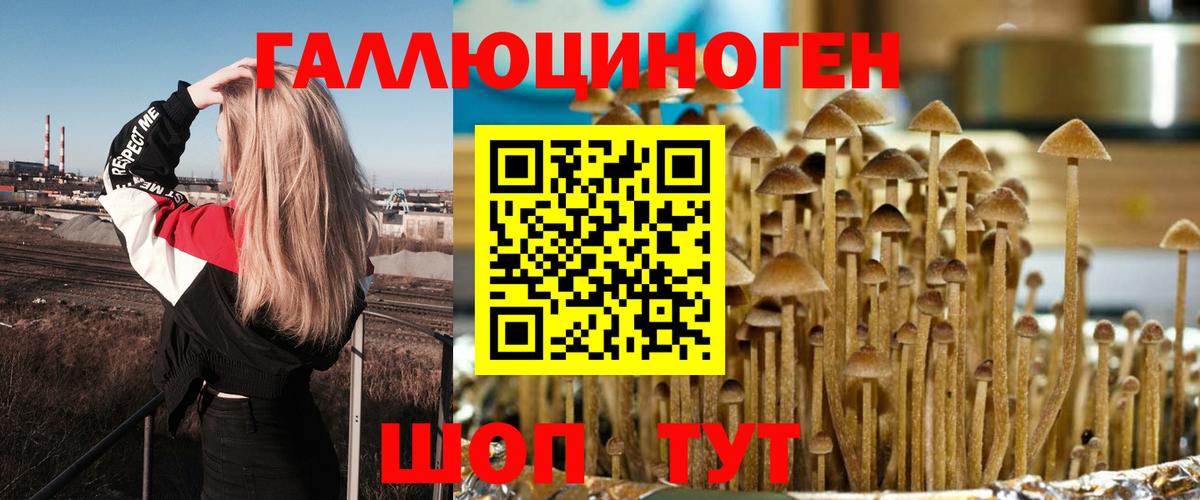 Псилоцибиновые грибы мухоморы Боровичи