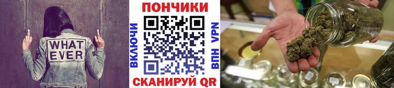 Бошки марихуана план  закладка  Боровичи 