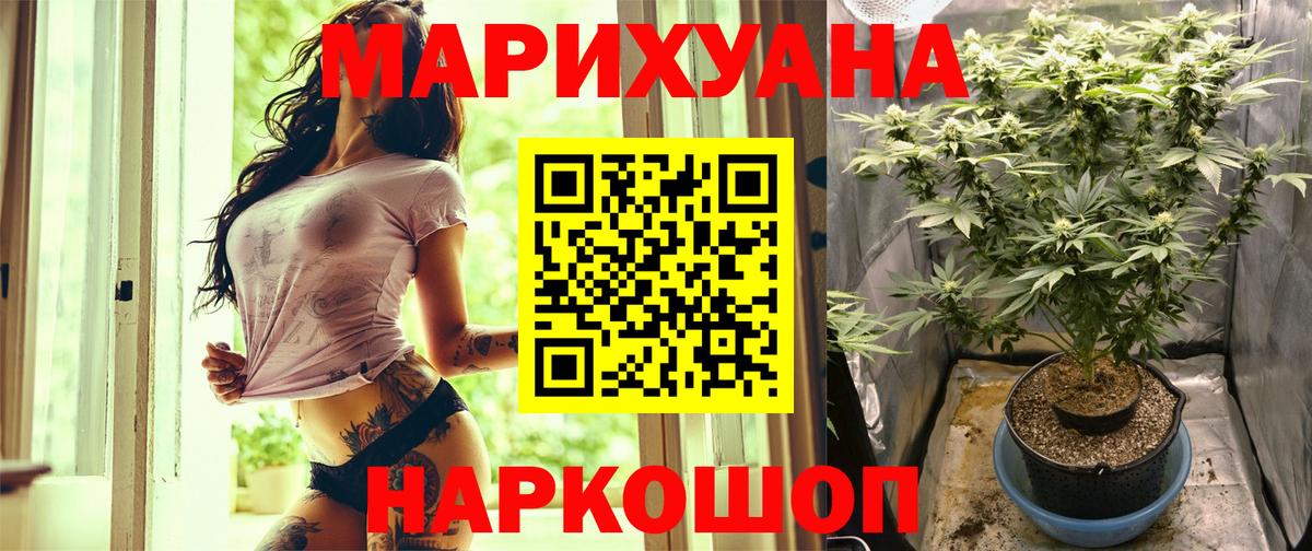 Каннабис индика Боровичи